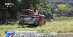 从泉源夯实粮食减产